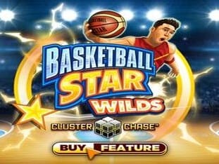 Basketball Star Wilds icon